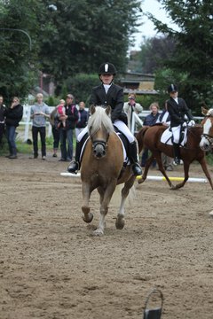 Bild 1011 - WBO-Turnier am 18.9.11
